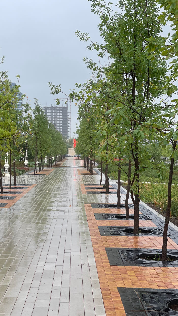 Приствольная решетка для дерева ZKING CRUST 1.2х1.2м Черная в Альметьевске фото