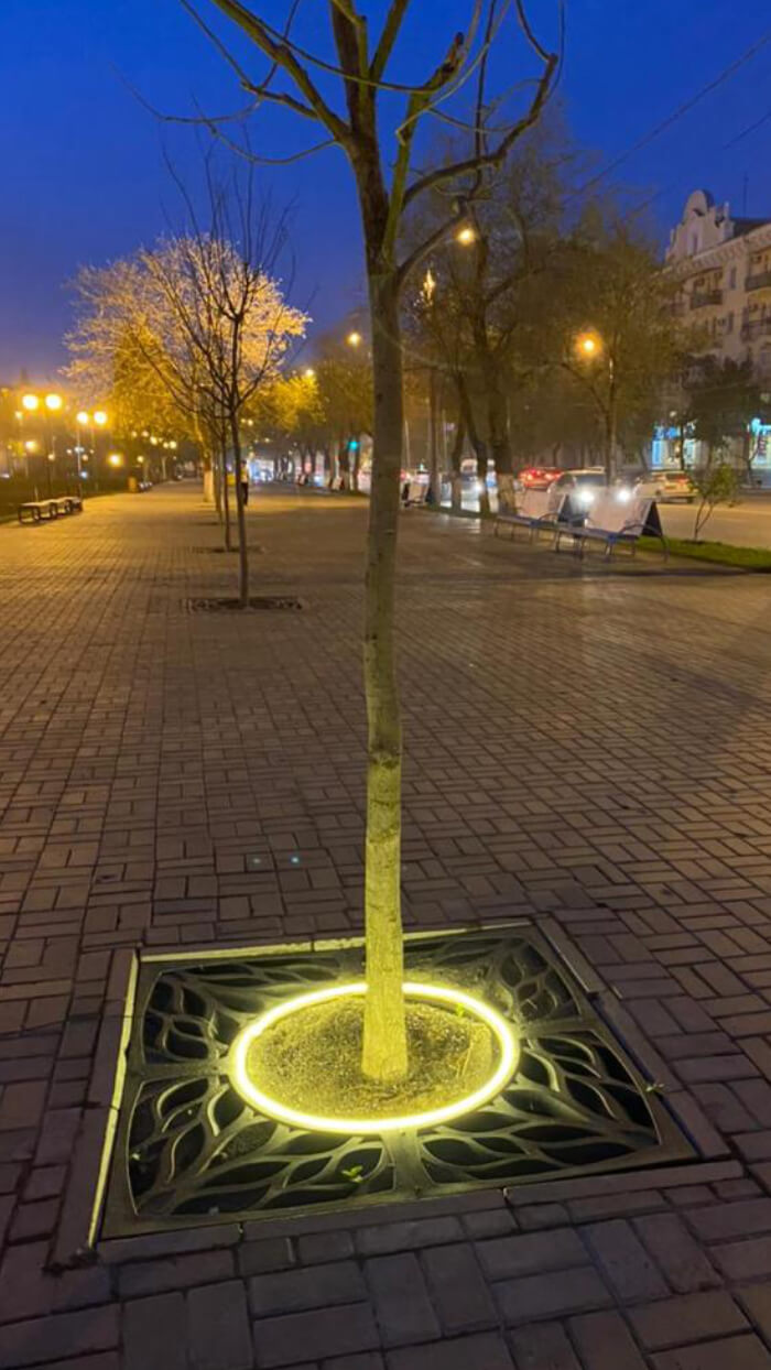 Приствольная решетка для дерева ZKING CRUST 1.2х1.2м Черная в Альметьевске фото